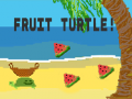                                                                       Fruit Turtle ליּפש