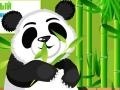                                                                       Panda Care ליּפש