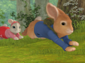                                                                     Peter rabbit Treetop hop! The super secret squirrel test  קחשמ
