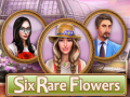                                                                     Six Rare Flowers קחשמ