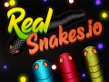                                                                       Real Snakes.io ליּפש