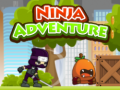                                                                       Ninja Adventure ליּפש
