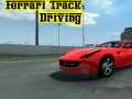                                                                       Ferrari Track Driving ליּפש