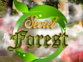                                                                     Secret Forest קחשמ