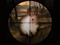                                                                     Classical Rabbit Sniper Hunting 2019 קחשמ