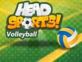                                                                       Head Sports Volleyball ליּפש