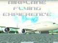                                                                       Airplane Flying Expierence ליּפש
