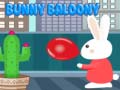                                                                     Bunny Baloonny קחשמ