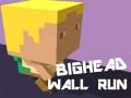                                                                       Bighead Wall Run ליּפש