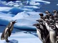                                                                     Penguins Slide קחשמ