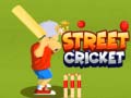                                                                     Street Cricket קחשמ
