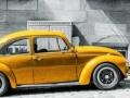                                                                     Yellow car קחשמ