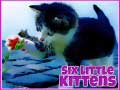                                                                       Six Little Kittens ליּפש