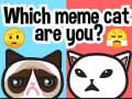                                                                       Which Meme Cat Are You? ליּפש