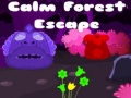                                                                     Calm Forest Escape קחשמ