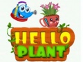                                                                     Hello Plant  קחשמ