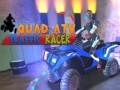                                                                       Quad ATV Traffic Racer ליּפש