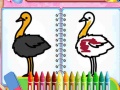                                                                     Coloring Birds Game קחשמ