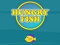                                                                       Hungry Fish ליּפש