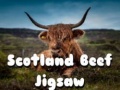                                                                    Scotland Beef Jigsaw קחשמ