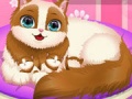                                                                     Cute Kitty Pregnant קחשמ