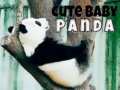                                                                     Cute Baby Panda קחשמ