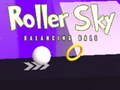                                                                     Roller Sky Balance Ball קחשמ