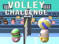                                                                     Volley Challenge קחשמ