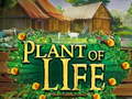                                                                     Plant of Life קחשמ
