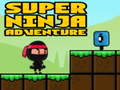                                                                     Super Adventure Ninja קחשמ