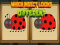                                                                     Which Insect Looks Different קחשמ