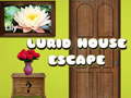                                                                    Lurid House Escape קחשמ
