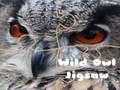                                                                     Wild owl Jigsaw קחשמ