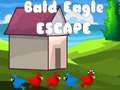                                                                       Bald Eagle Escape ליּפש