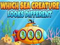                                                                     Which Sea Creature Looks Different קחשמ