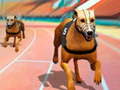                                                                      Dogs3D Races ליּפש