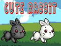                                                                     Cute Rabbit קחשמ