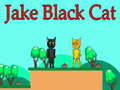                                                                      Jake Black Cat ליּפש