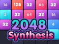                                                                     2048 synthesis קחשמ