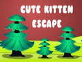                                                                     Cute Kitten Escape  קחשמ