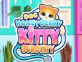                                                                     Doc HoneyBerry Kitty Surgery קחשמ