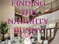                                                                     Finding The Naughty Bunny קחשמ