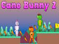                                                                       Cano Bunny 2 ליּפש