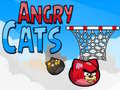                                                                     Angry Cats קחשמ