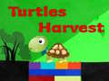                                                                     Turtles Harvest קחשמ