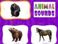                                                                     Animal Sounds קחשמ