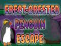                                                                     Erect Crested Penguin Escape קחשמ