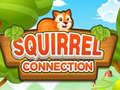                                                                     Squirrel Connection קחשמ
