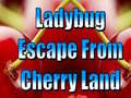                                                                     Ladybug Escape From Cherry Land קחשמ
