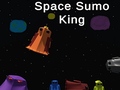                                                                       Space Sumo King ליּפש